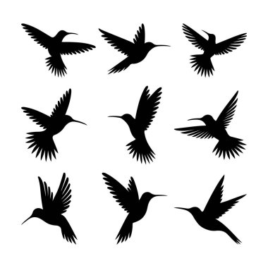 Uçan Pozisyonlu Sinek Kuşu Siluet Vektörü 