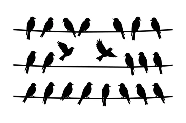 Kabloların Üzerinde Oturan Kuşlar Siluet Vektörü  