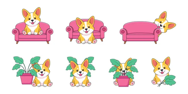 Bitkilerle ve Koltuk Vektörü Resimleriyle Farklı Pozisyonlarda Şirin Corgi Köpeği 