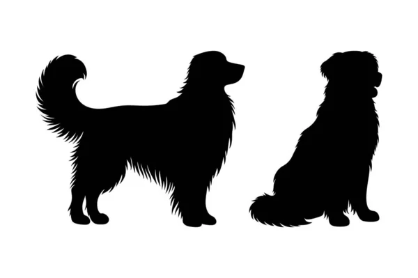 Yumuşak Köpek Görüntü Koleksiyonu Vektör Sanatı  