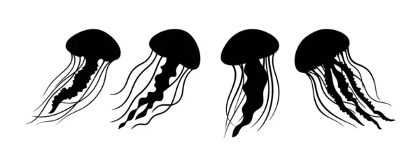 Okyanus Yaratıklarının Denizanası Silüeti Vektör Çizimi 