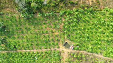 Gelişen yeşil ekinlerin, karmaşık alan şekillerinin ve gerekli suyun sergilendiği bir hava yolculuğu.