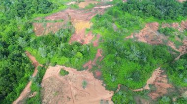 Orman ve Ormansız Manzaraların Panoramik Hava Görüntüsü Çevresel Dönüşümü Ortaya Çıkarıyor