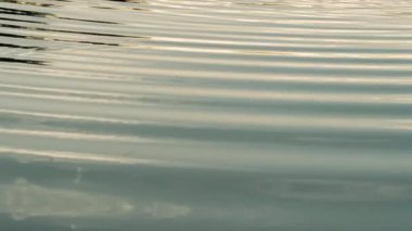 Su dalgalanır güneş ışığını altın rengine yansıtır