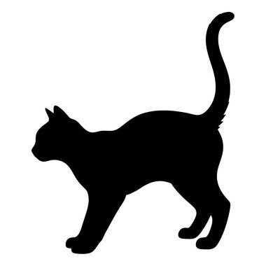 Saldırgan Kedi Kuyruk Kalktı Siyah Siluet