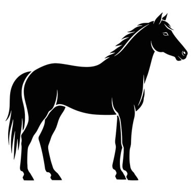 Siyah At Standının Silueti
