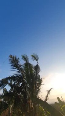 Dağlarda gün doğumu