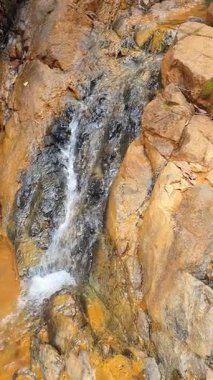 Ormanda güzel bir şelale