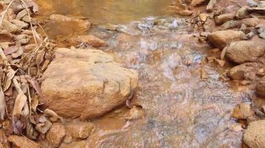 Ormanda güzel bir şelale