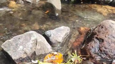 Nehirdeki su akıntısı