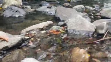 Doğanın güzel manzarası