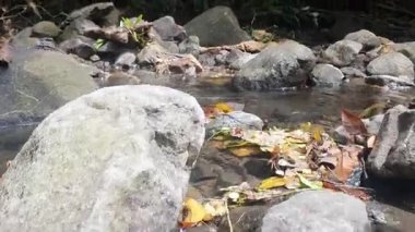 Şelale, su akışı, doğa bitki örtüsü.