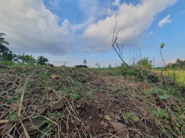 Mavi gökyüzü ve bulutlu yeşil bir alanın dikey yakın çekimi.