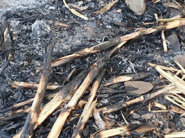 Yanmış odun ve yanmış odun.