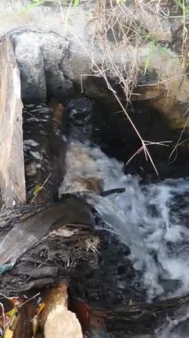 Ormanda güzel bir şelale