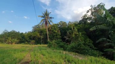 Parkın güzel manzarası