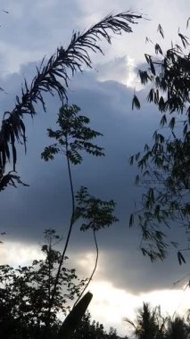 Köyde palmiye ağacı silueti 