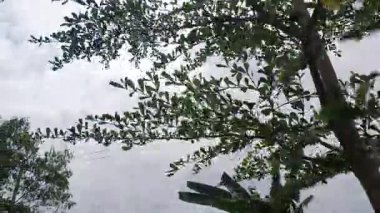 Köyün güzel manzarası 