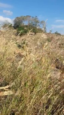 Doğanın güzel manzarası