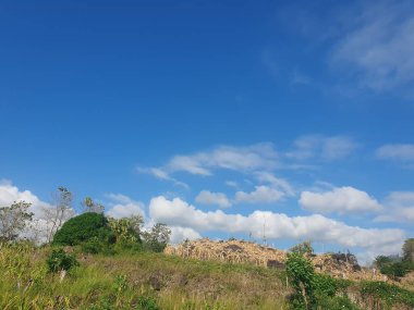 Ağacı ve mavi gökyüzü olan güzel bir manzara.