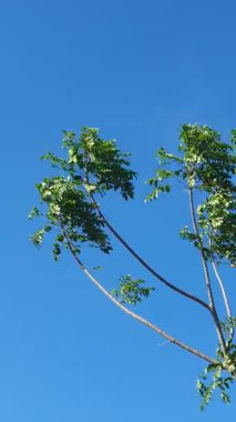 Doğanın güzel manzarası