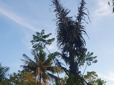 Doğanın güzel manzarası
