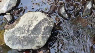 Güneş ışığının altındaki gölete yakın bir su damlası.