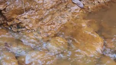 Bir kaya yığınına yakın.