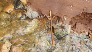 Su akıyor ve kayalar 