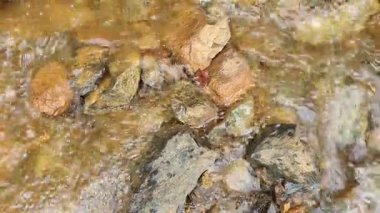 Kayalık kayaların ve taşların yakın görüntüsü