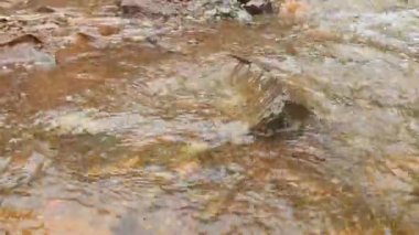 Dağlarda doğal kayalar olan güzel dağ manzarası