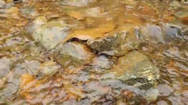 Sahilin güzel manzarası 