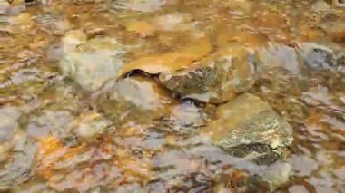 Dağlarda güzel bir şelale