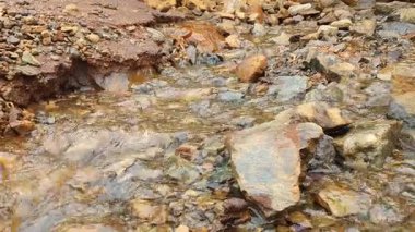 Ormanda güzel bir şelale