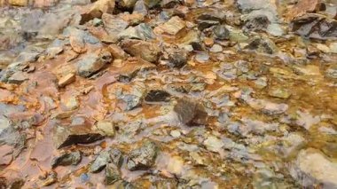 Nehrin güzel manzarası 