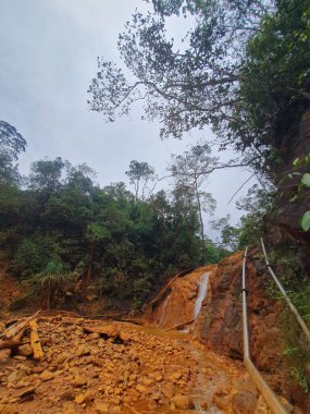 Ormanda güzel bir şelale