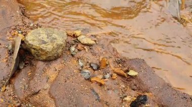 Doğanın güzel manzarası