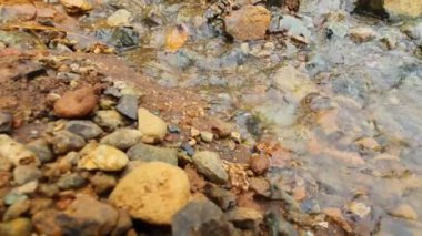 Parktaki nehrin güzel manzarası