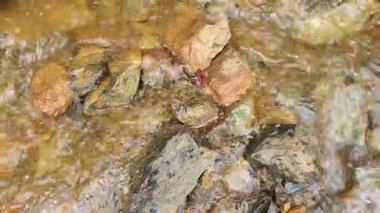 Doğanın güzel manzarası