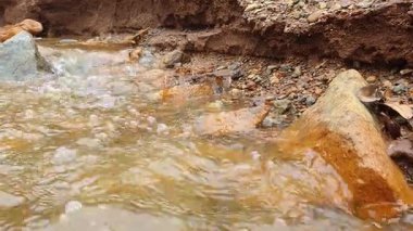 Ormandaki bir nehre yakın çekim.