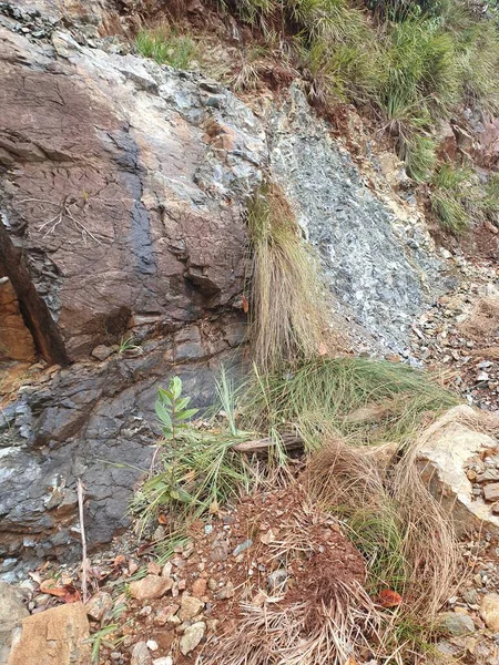 Dağlardaki nehrin güzel manzarası
