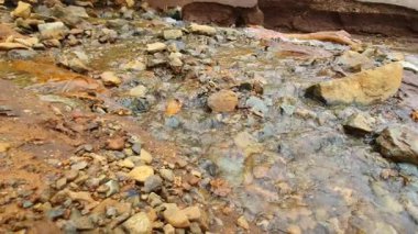 Ormandaki güzel dağ nehri