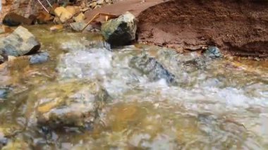 Ormanda güzel bir şelale