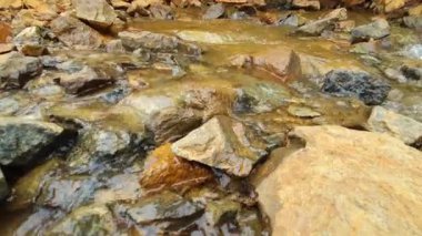 Doğanın güzel manzarası