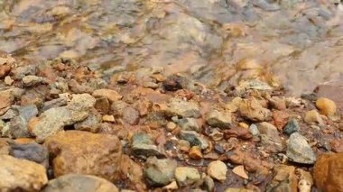 Doğanın güzel manzarası