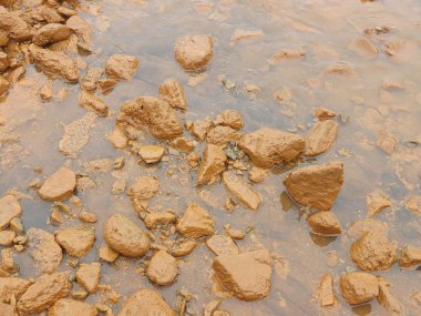 Kumsalda kum taşları