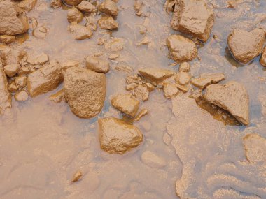 Kirli bir taş duvara yakın.