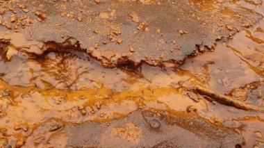 Su akar ve kahverengi toprak 