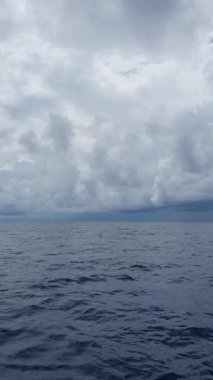 Okyanustan ve dalgalardan güzel deniz manzarası