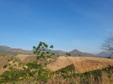 Dağların güzel manzarası